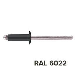 Заклепка 3.2x10 (RAL 6022) A2/A2 вытяжная