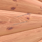 Сайдинг МЕТАЛЛ ПРОФИЛЬ Woodstock-Т-28х330 (ECOSTEEL_T-12-Золотой Орех-0.45)