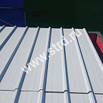 Стеновая трёхслойная сэндвич-панель трапеция 60мм 1000мм с видимым креплением минеральная вата Полиэстер Panline