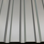 Профнастил С20 - 0,6х1150мм (RAL 8003) оцинкованный, с полимерным покрытием (Полиэстер)