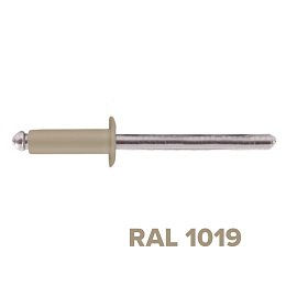 Заклепка 3.2x10 (RAL 1019) A2/A2 вытяжная