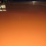 Лист оцинкованный с полимерным покрытием полиэстер Grand line Optima 0,4х1250мм RAL 3005