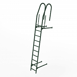 Лестница фасадная 3000мм холоднокатанная сталь с порошковым покрытием RR 11