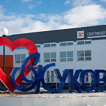 Корабельная Доска 0,265 0,45 PE RAL 9003 сигнальный белый